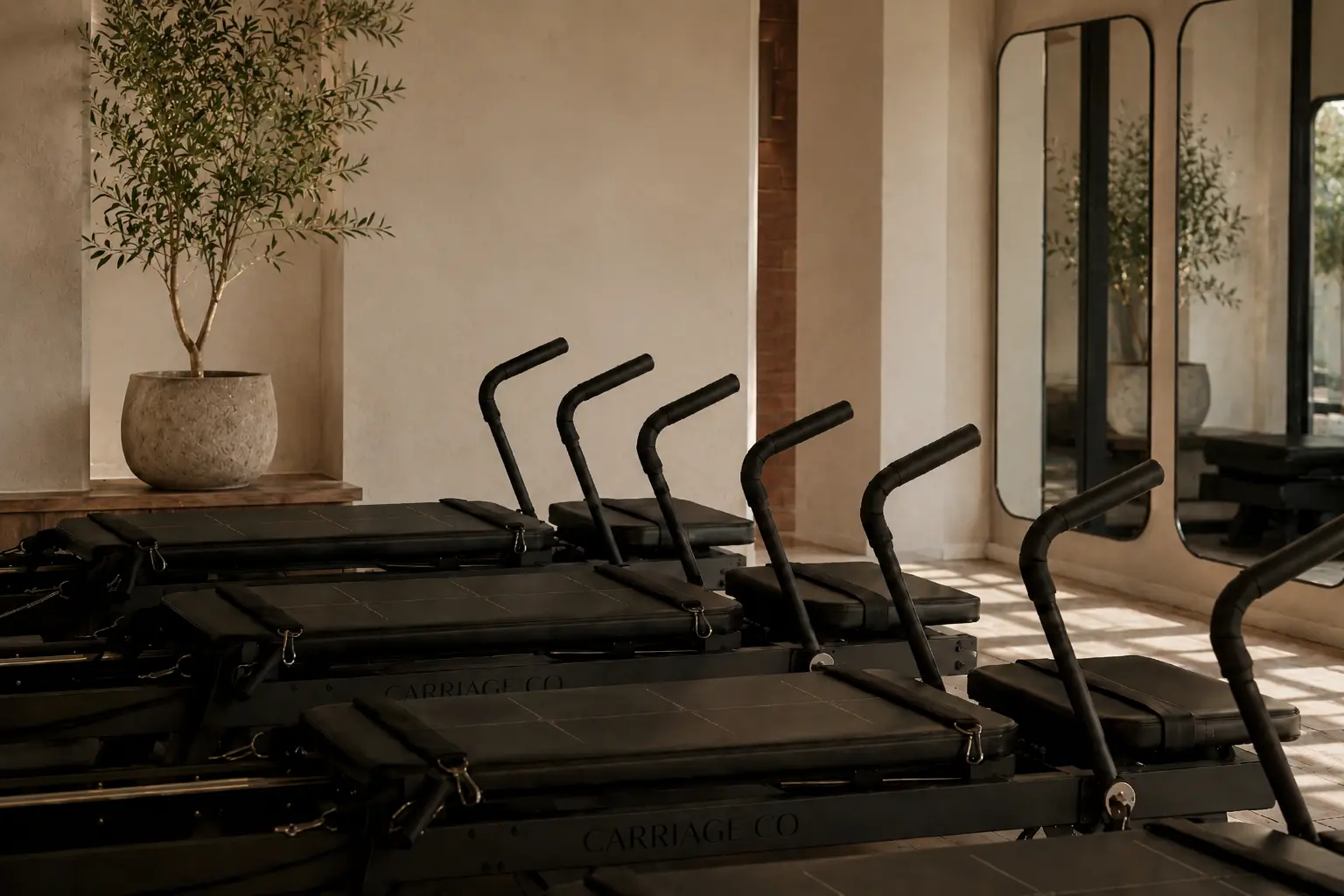 Carriage One machines installed across a commercial strength studio room